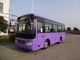 Low Floor Inter City Buses 48 Seater Coaches 3300mm Wheel Base تامین کننده